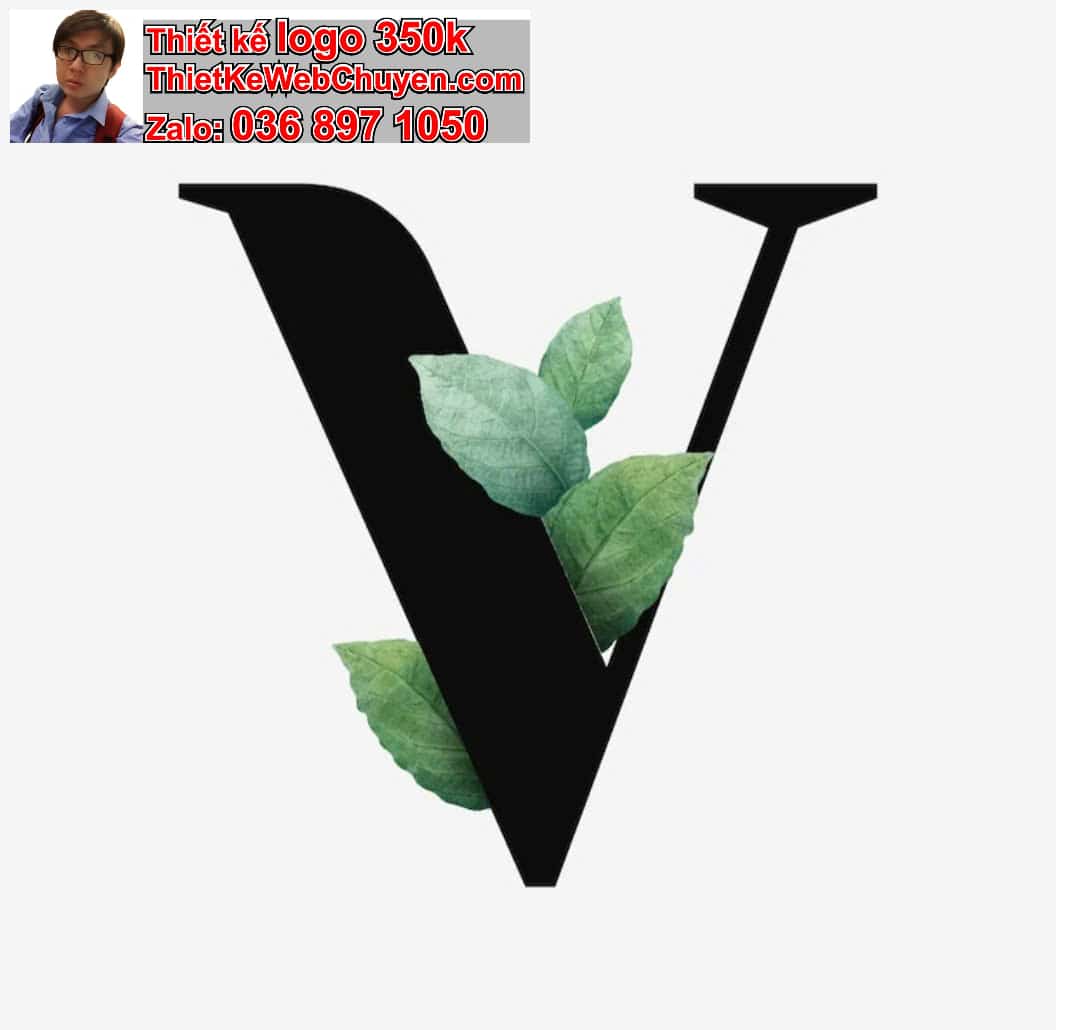 Thiết Kế Logo Công Ty Họ Võ