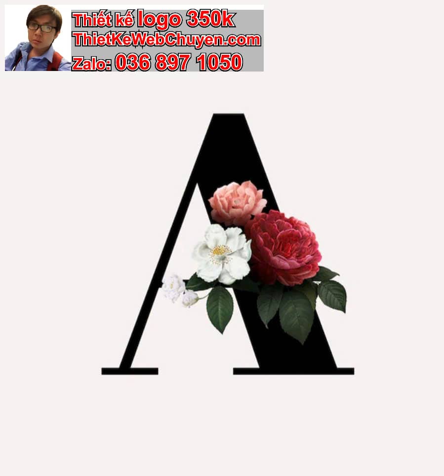 Thiết kế logo công ty tên Ánh