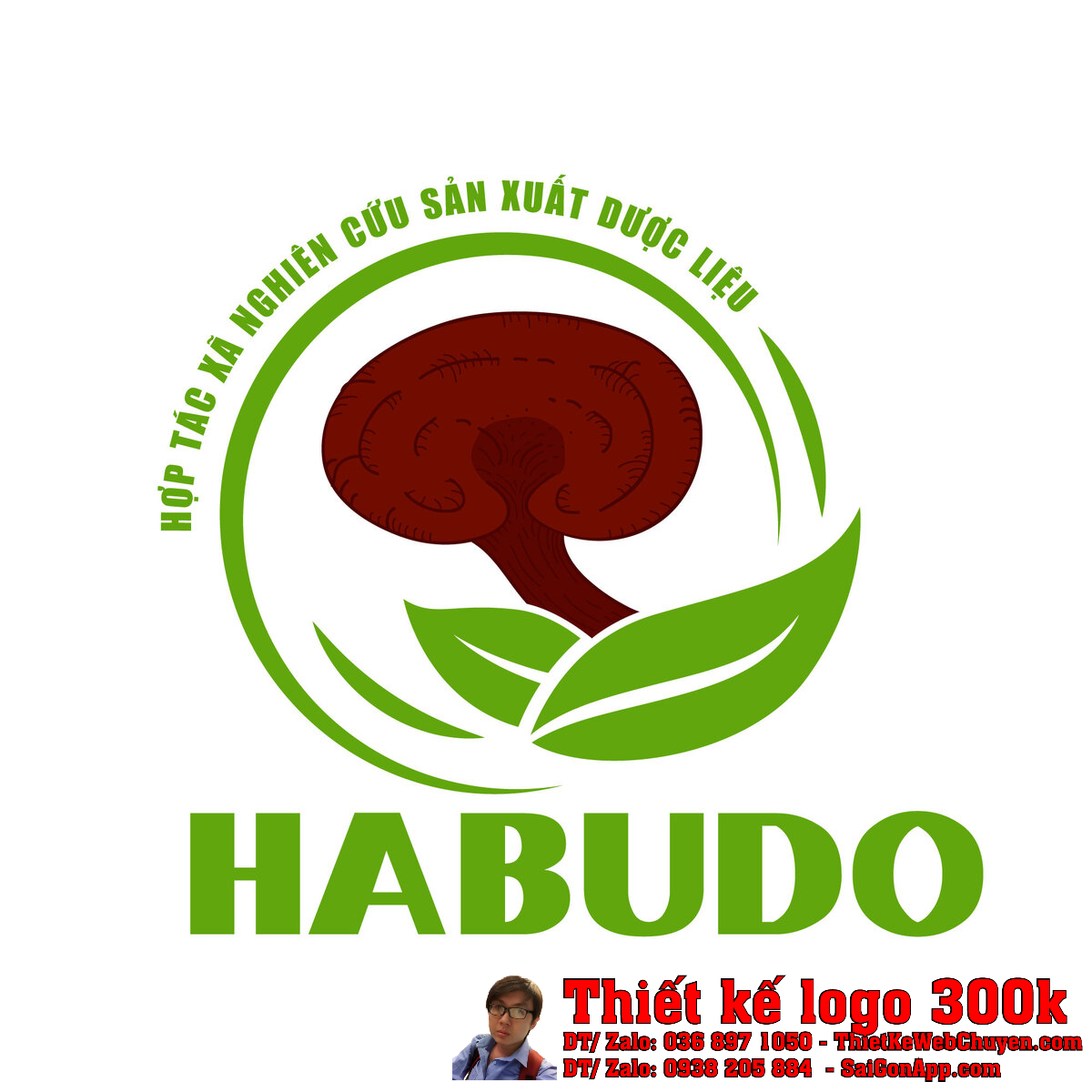 Thiết kế logo dược liệu HABUDO bản chuẩn