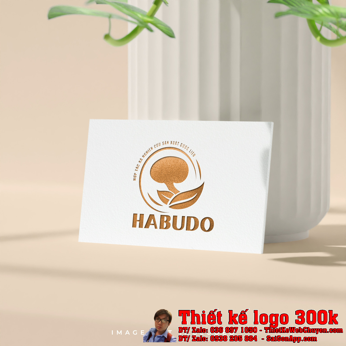 Phối cảnh Thiết kế logo dược liệu HABUDO