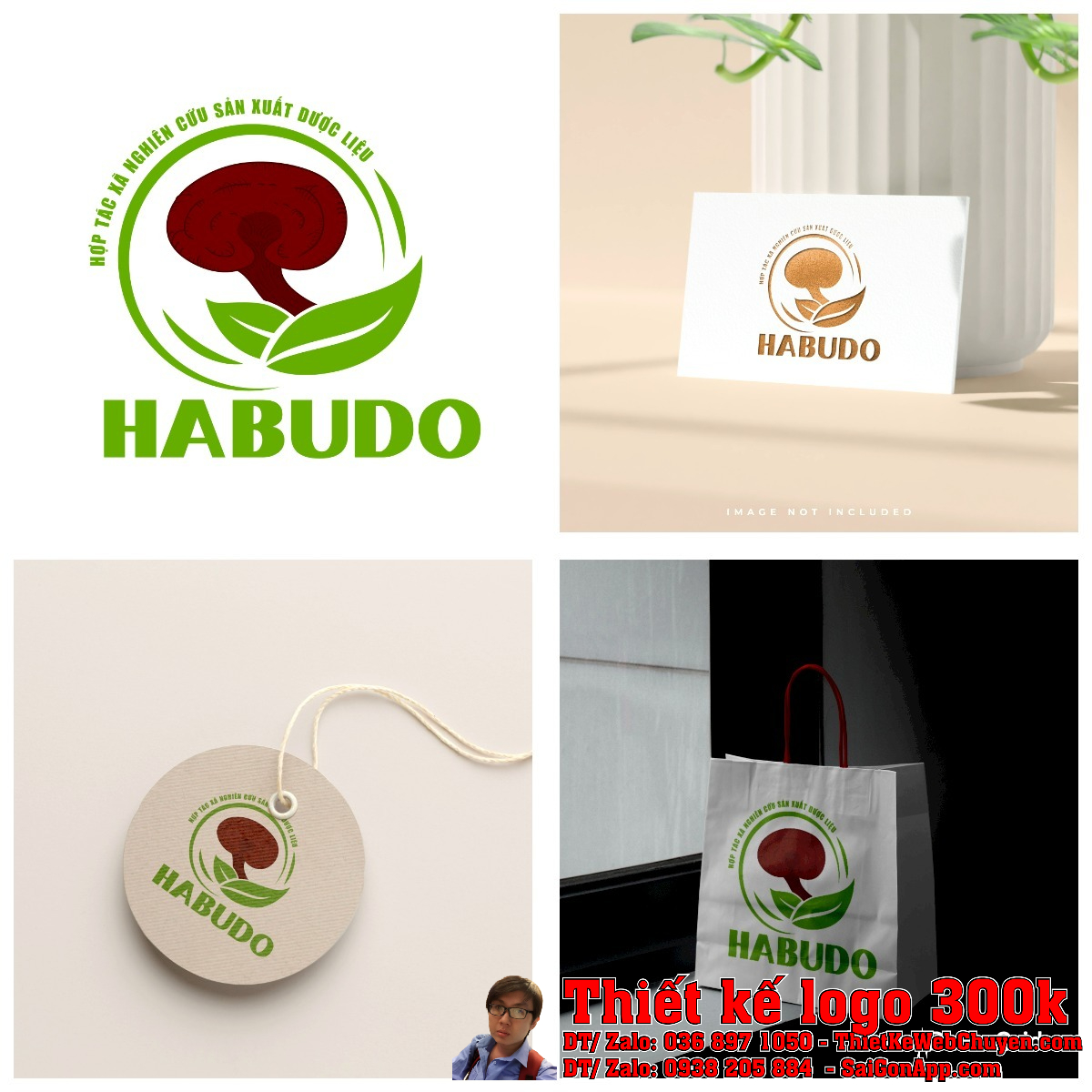 Tổng thể dự án Thiết kế logo dược liệu HABUDO