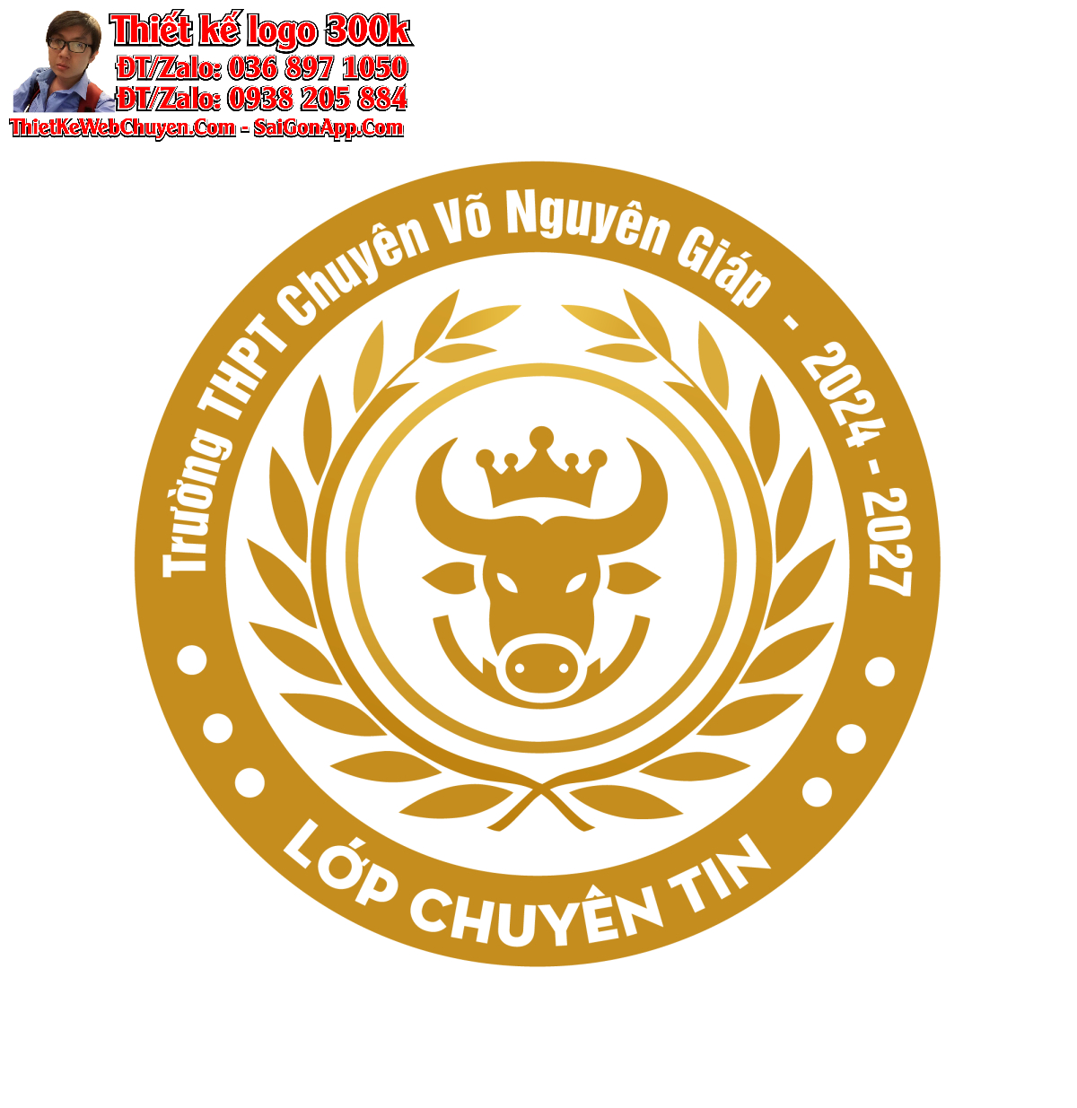 Thiết kế logo lớp chuyên Tin trường THPT chuyên Võ Nguyên Giáp Trâu Pi