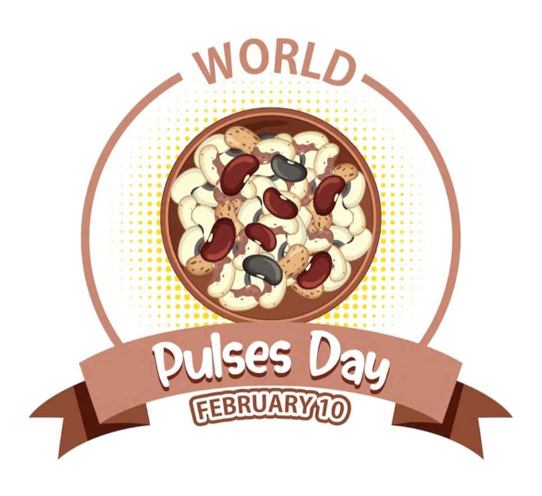 Thiết kế logo online bán hạt điều