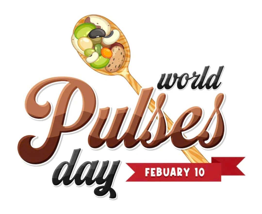 Thiết kế logo online bán hạt điều