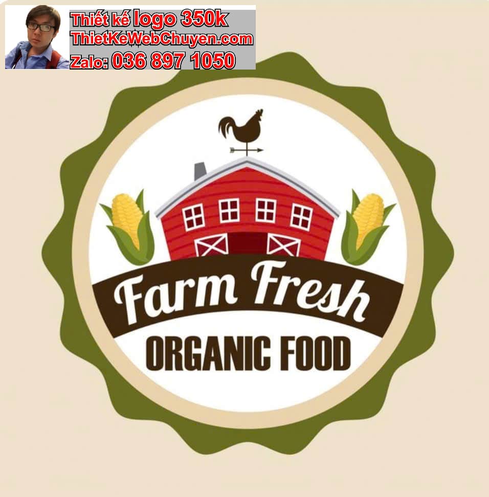 Thiết kế logo online giá rẻ vs chuyên nghiệp 