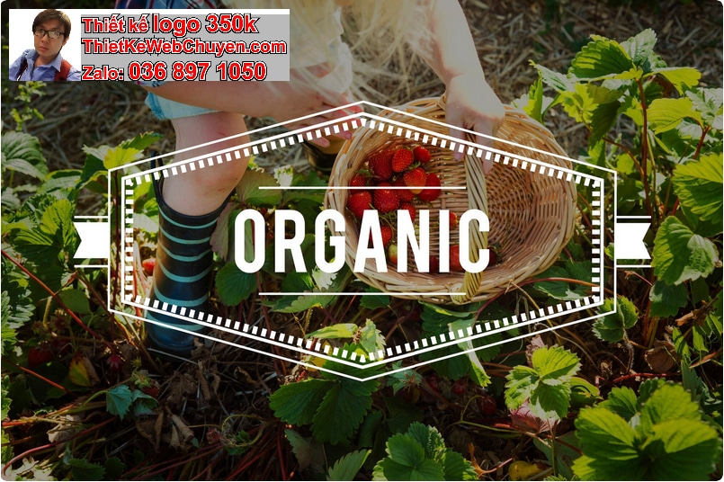 Thiết kế logo online phong cách organic cho brand thực phẩm sạch