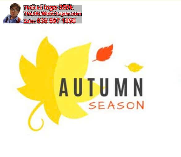 Thiết kế logo online tại quận 6