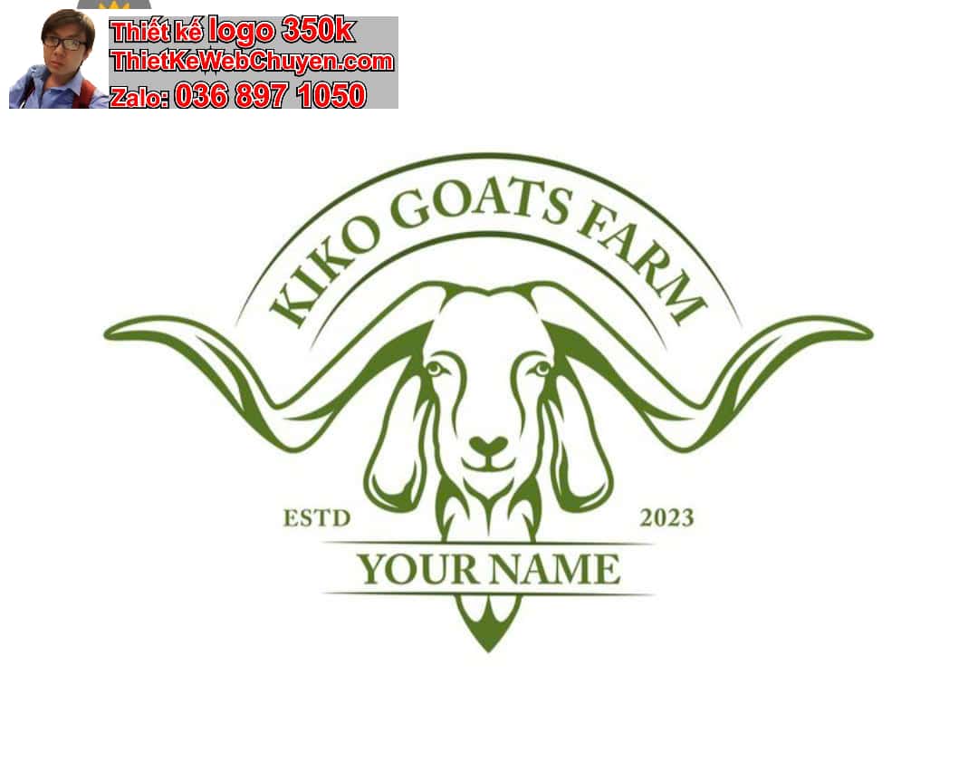 Thiết Kế Logo Online Tại Quận Tân Phú