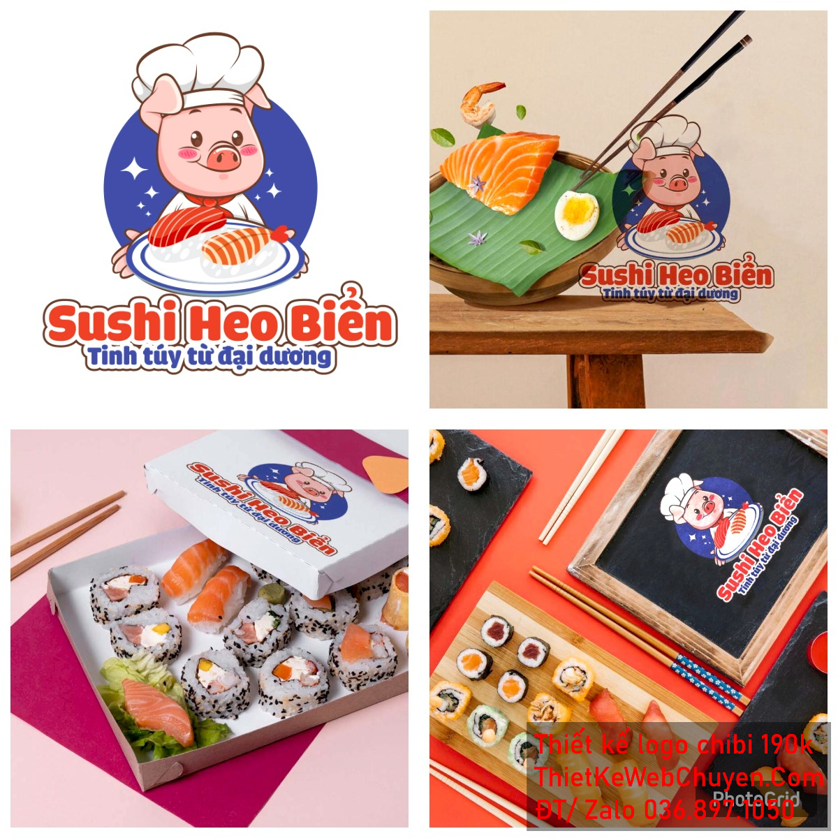 Vẽ chibi chú heo đầu bếp cầm đĩa sushi để thiết kế logo Vẽ chibi chú heo đầu bếp cầm đĩa sushi để thiết kế logo