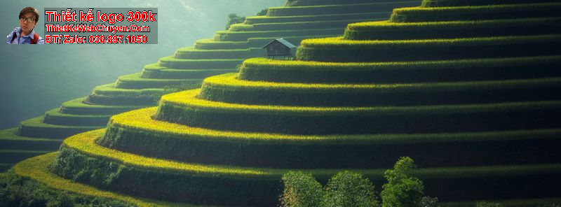 ảnh bìa 4k ảnh bìa 4k