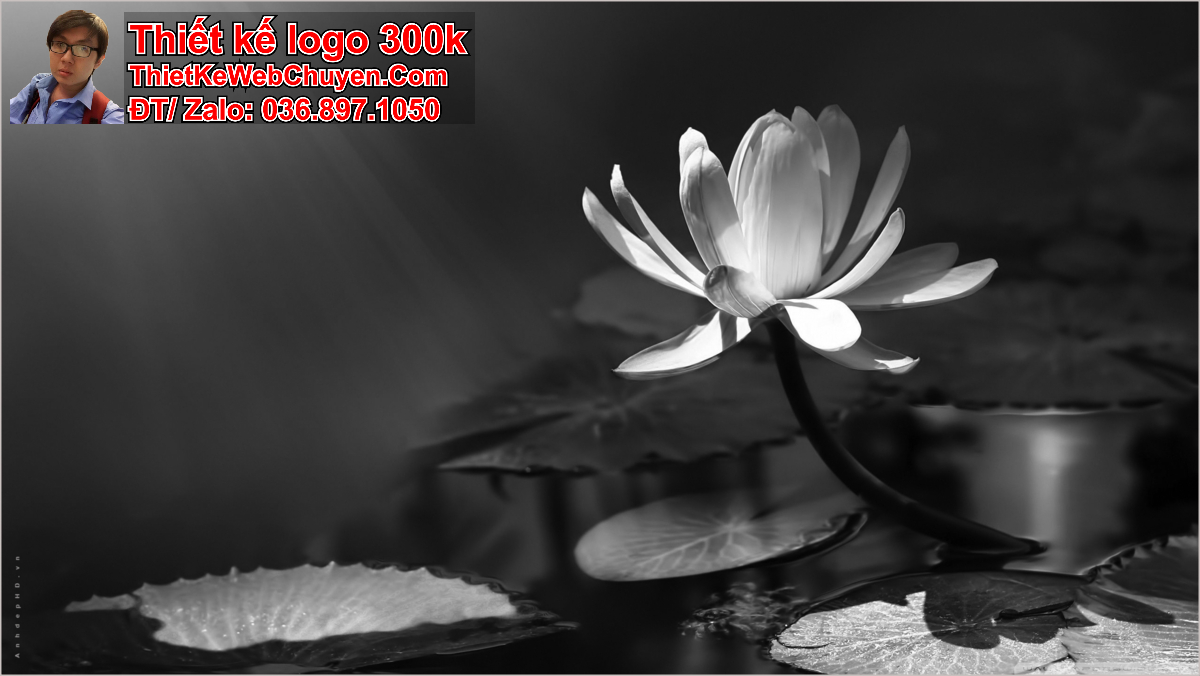 ảnh bìa buồn đen ảnh bìa buồn đen