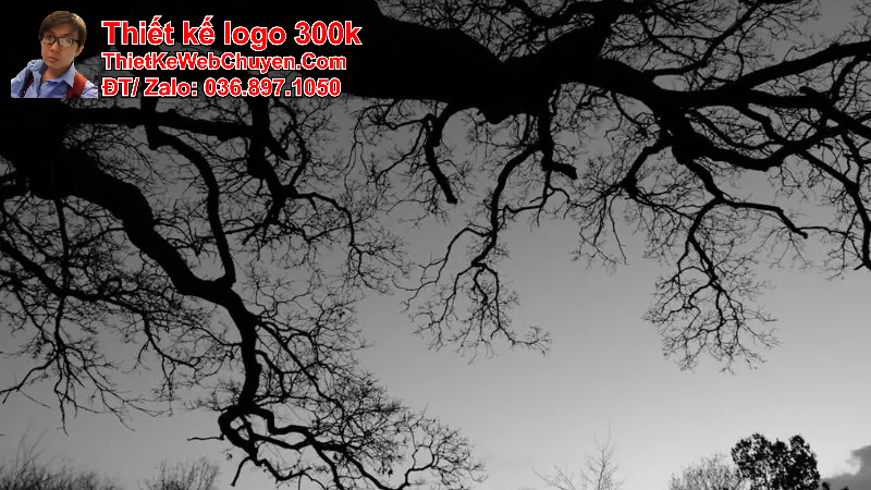 ảnh bìa đen trắng ảnh bìa đen trắng