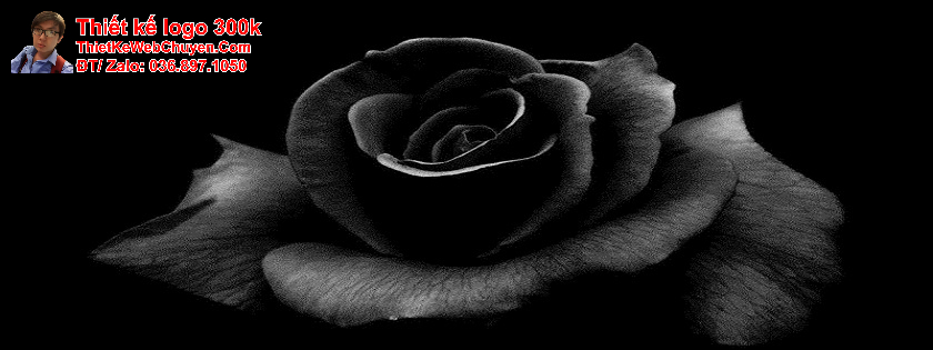 ảnh bìa đẹp chất ảnh bìa đẹp chất