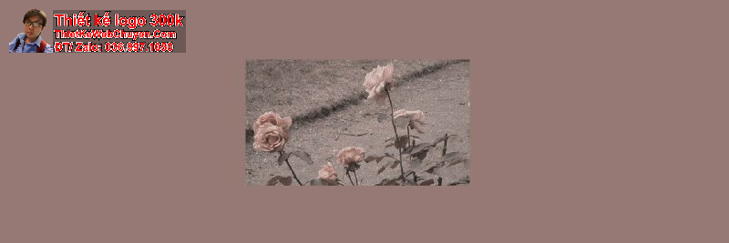 ảnh bìa đơn giản mà đẹp ảnh bìa đơn giản mà đẹp