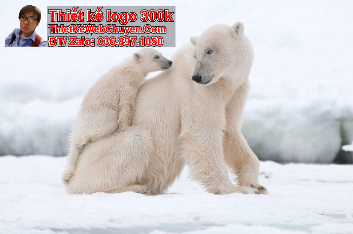 ảnh bìa fb cute ảnh bìa fb cute