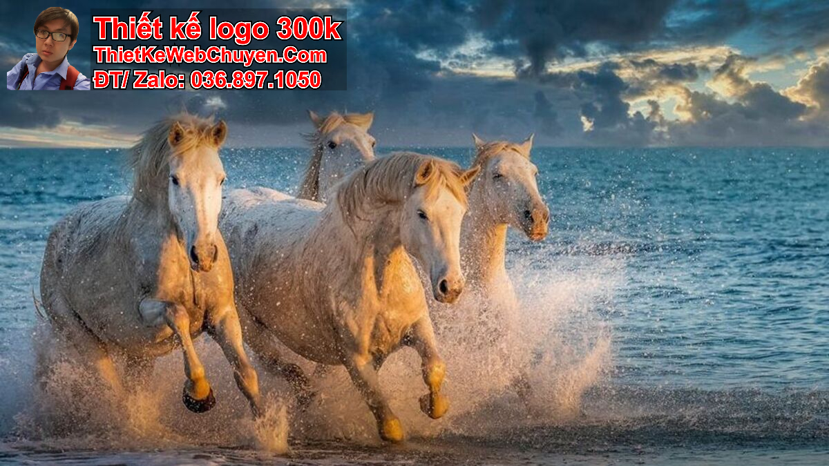 ảnh bìa may mắn ảnh bìa may mắn