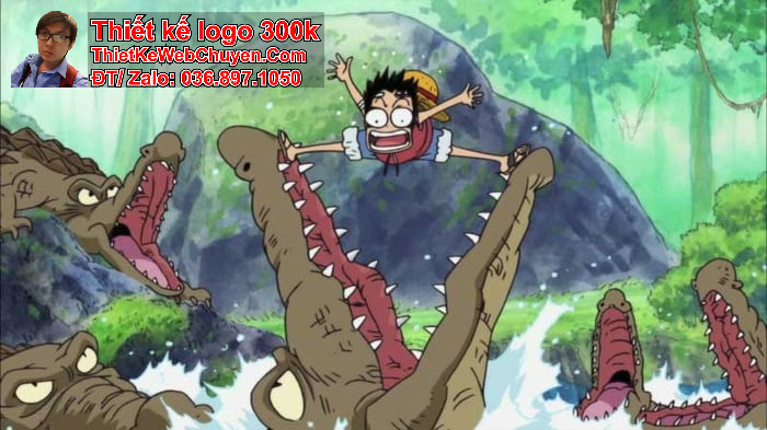 ảnh bìa one piece Ảnh bìa One Piece