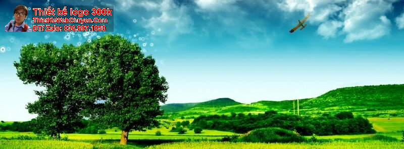 ảnh bìa thiên nhiên ảnh bìa thiên nhiên