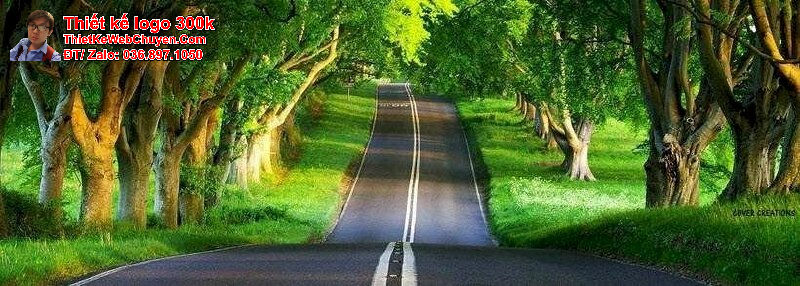 ảnh bìa thiên nhiên ảnh bìa thiên nhiên