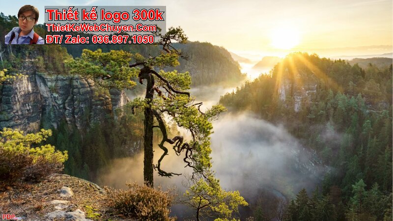 ảnh bìa phong cảnh