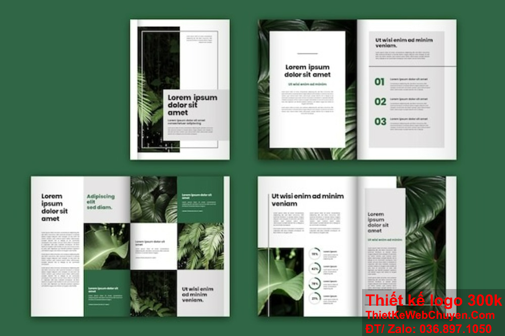 Công ty Thiết kế profile và quá trình tạo ra hồ sơ doanh nghiệp đẳng cấp. Công ty Thiết kế profile và vai trò của nó trong việc xây dựng thương hiệu.