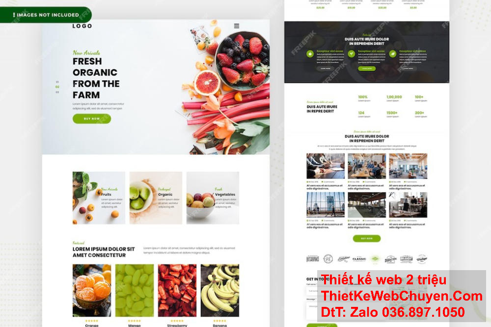 Cánh Cam cung cấp dịch vụ thiết kế web chuyên nghiệp cho doanh nghiệp.