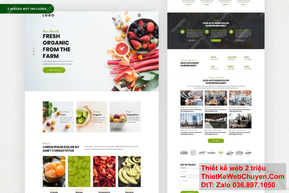 Đội ngũ chuyên gia tại Công ty thiết kế website NINA luôn cập nhật những xu hướng thiết kế mới nhất.