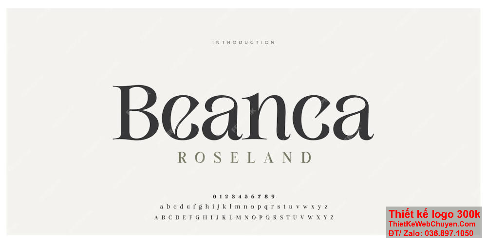 Font chữ trong thiết kế logo cần phải phản ánh được mục tiêu và tầm nhìn của thương hiệu. Font chữ đóng vai trò quan trọng trong việc tạo ra một logo đẹp mắt và chuyên nghiệp.