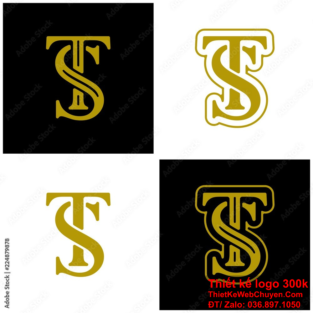 Một Logo TS hiệu quả có thể tạo ra sự nhận biết mạnh mẽ từ khách hàng và đối tác. Thiết kế Logo TS cần phải cân nhắc đến yếu tố thị trường và xu hướng thiết kế hiện đại.