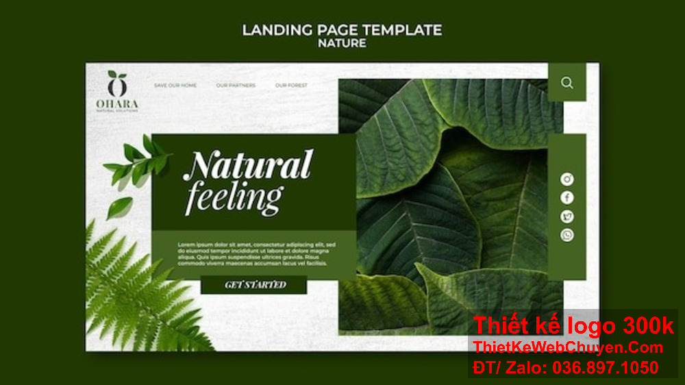 Thiết kế banner website với chiếc lá mang lại cảm giác dễ chịu cho người xem. Thiết kế banner website với chiếc lá giúp trang web trở nên gần gũi hơn.