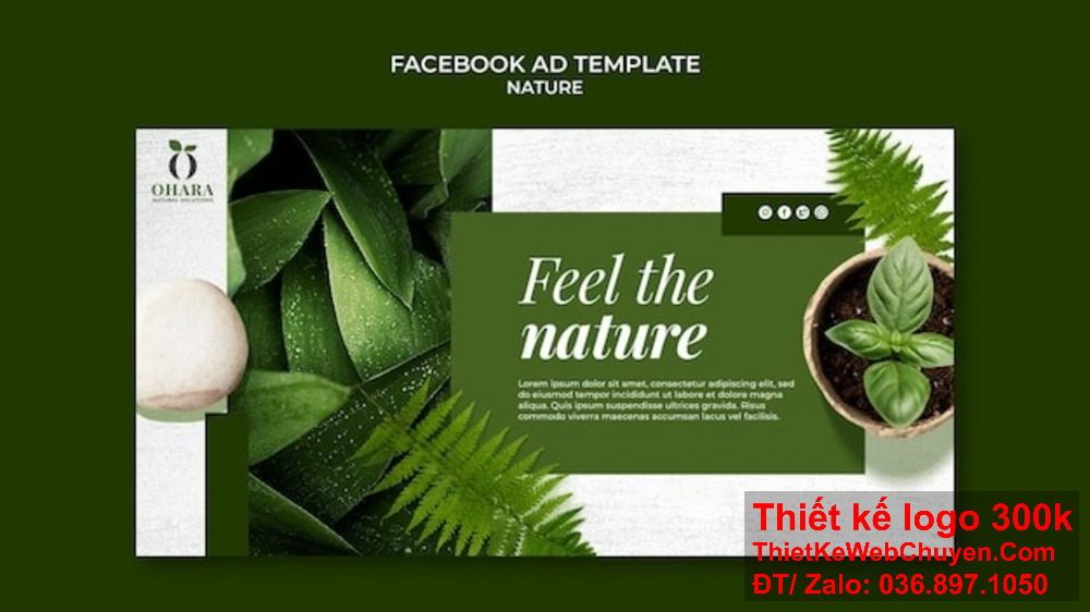 Banner ảnh bìa với chiếc lá giúp tạo nên sự tinh tế trong thiết kế web. Banner ảnh bìa với chiếc lá tạo nên một không gian trực tuyến xanh mát.