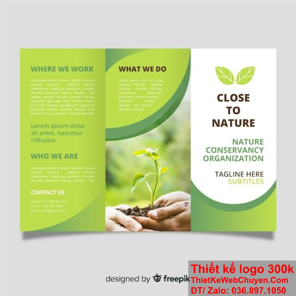 Thiết kế brochure Dịch vụ chăm sóc cây xanh từ ý tưởng đến hiện thực. Thiết kế brochure Dịch vụ chăm sóc cây xanh giúp quảng bá dịch vụ một cách hiệu quả.