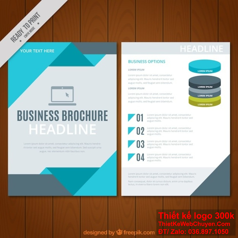 Công ty chúng tôi chuyên thiết kế catalogue Dịch vụ Tư vấn Kinh doanh chuyên nghiệp.