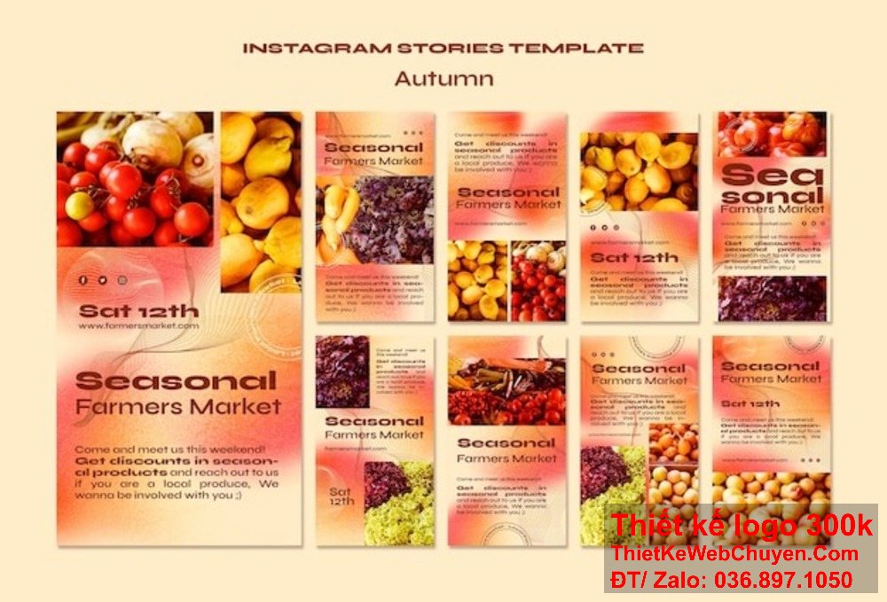 Công ty nhận thiết kế catalogue chuyên nghiệp cho cửa hàng trái cây tươi. Công ty chúng tôi chuyên thiết kế catalogue cửa hàng trái cây tươi hấp dẫn.