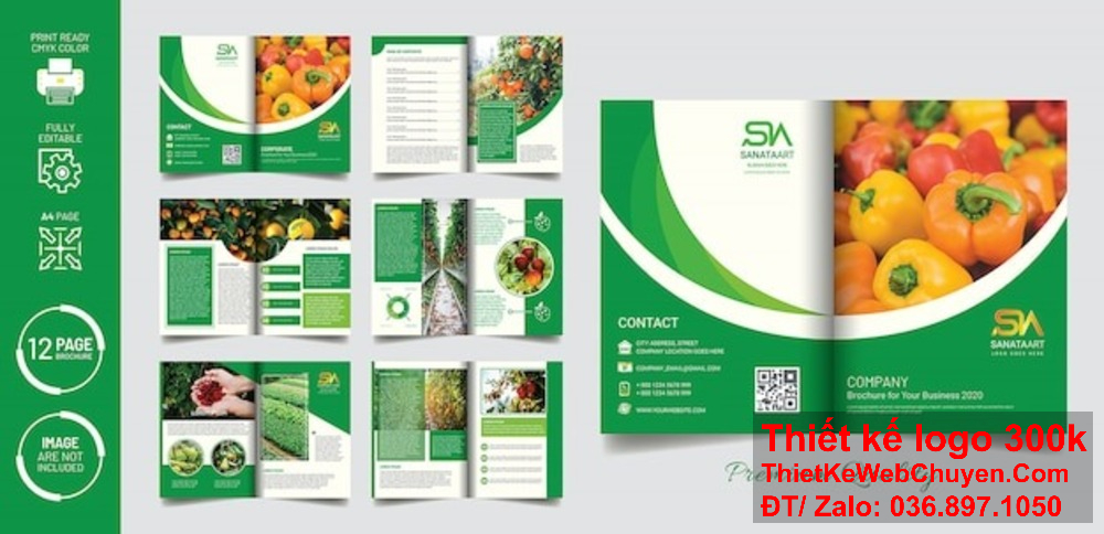 Hãy để công ty chúng tôi thiết kế catalogue cửa hàng trái cây tươi cho doanh nghiệp của bạn. Công ty có phong cách thiết kế catalogue cửa hàng trái cây tươi hiện đại và bắt mắt.