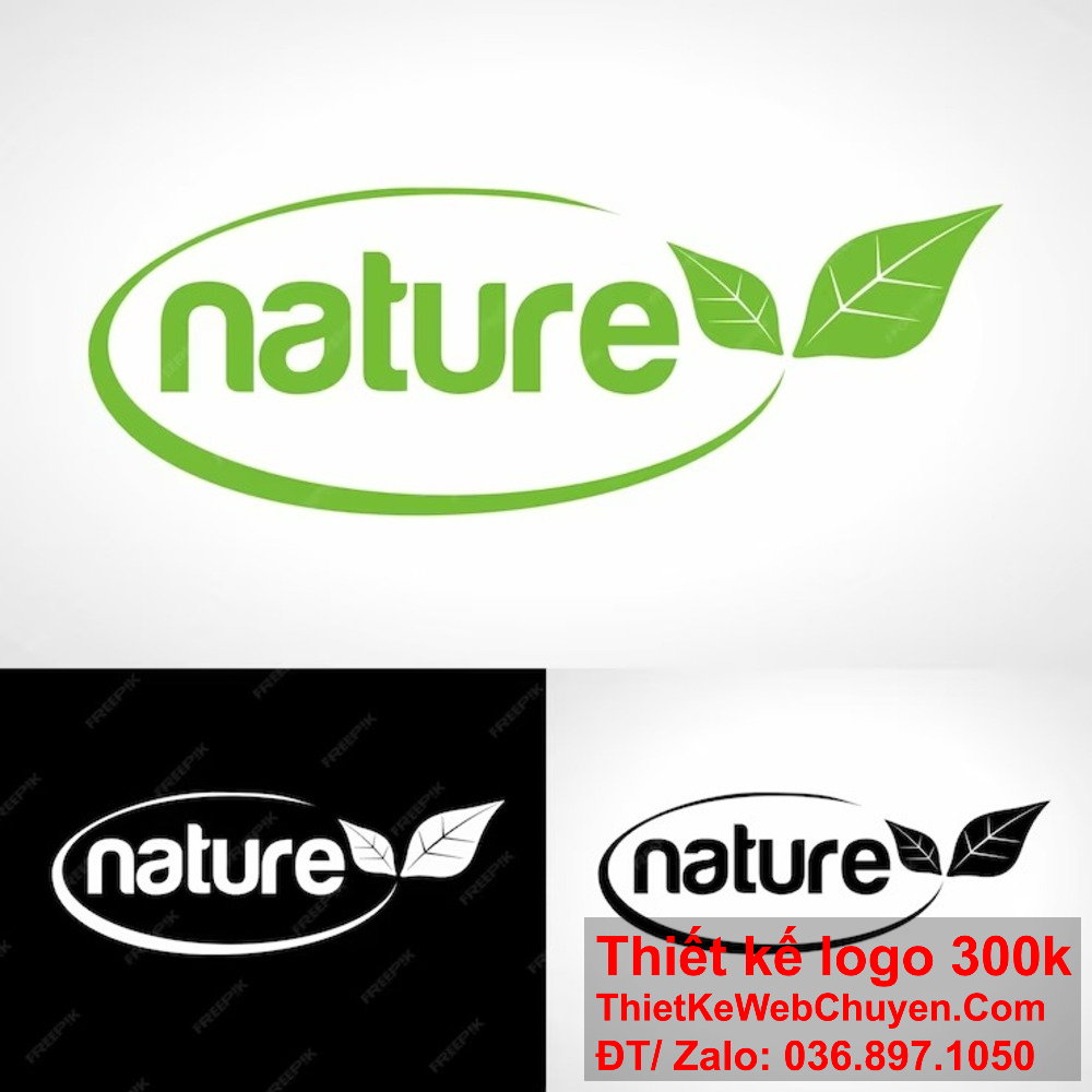 Thiết kế logo chiếc lá mang tính biểu tượng. Thiết kế logo chiếc lá đáp ứng mọi yêu cầu.