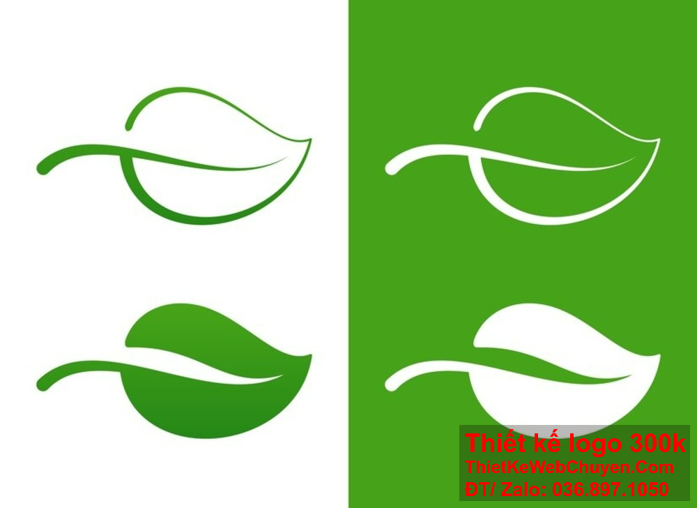 Thiết kế logo chiếc lá mang dấu ấn cá nhân. Thiết kế logo chiếc lá với dịch vụ trọn gói.
