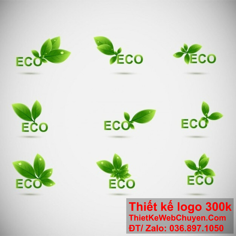 Quy trình thiết kế logo chiếc lá chuyên nghiệp. Thiết kế logo chiếc lá theo yêu cầu.