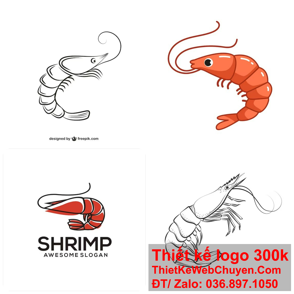 Thiết kế logo con tôm đẹp và ấn tượng. Thiết kế logo con tôm kết hợp màu sắc hài hòa.