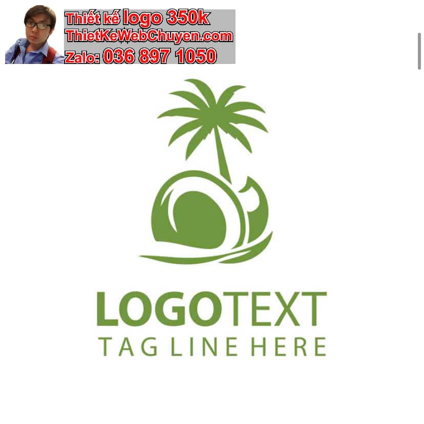 thiết kế logo công ty cây trái dừa