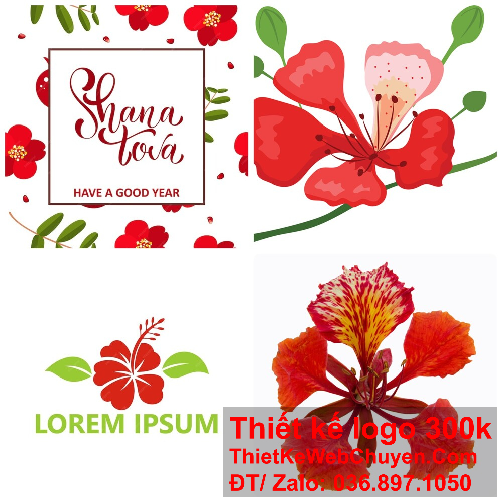 Thiết kế logo hoa phượng đỏ cần phải dễ dàng nhận diện và ghi nhớ.