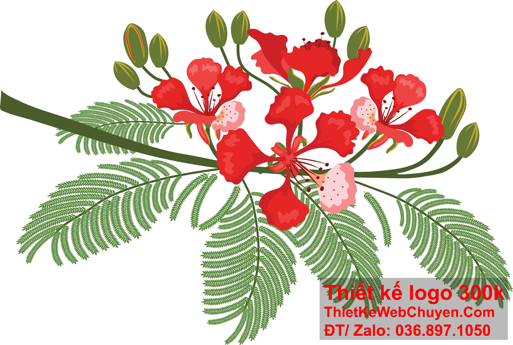 Thiết kế logo hoa phượng đỏ cần phản ánh được sự tươi sáng và chất lượng.