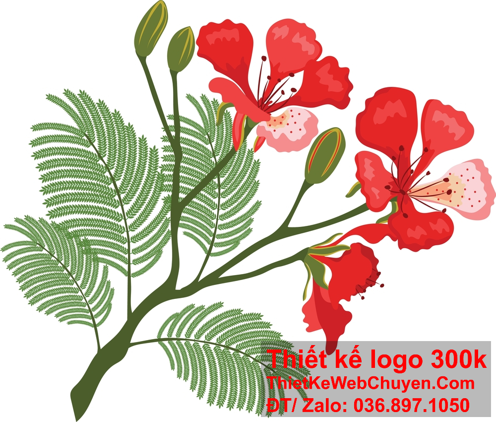 Thiết kế logo hoa phượng đỏ nên thể hiện sự tinh tế và ấn tượng mạnh mẽ.