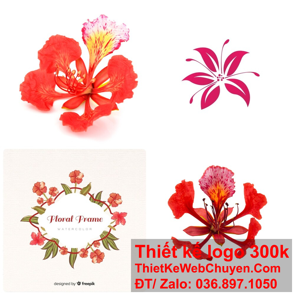 Đưa ra ý tưởng thiết kế logo hoa phượng đỏ để thu hút sự chú ý.
