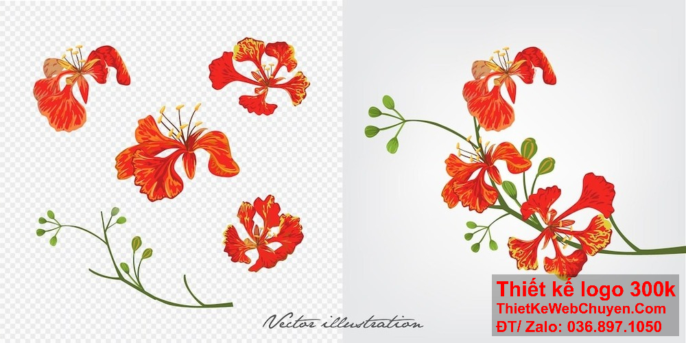 Thiết kế logo hoa phượng đỏ giúp tạo sự nhận diện thương hiệu mạnh mẽ.