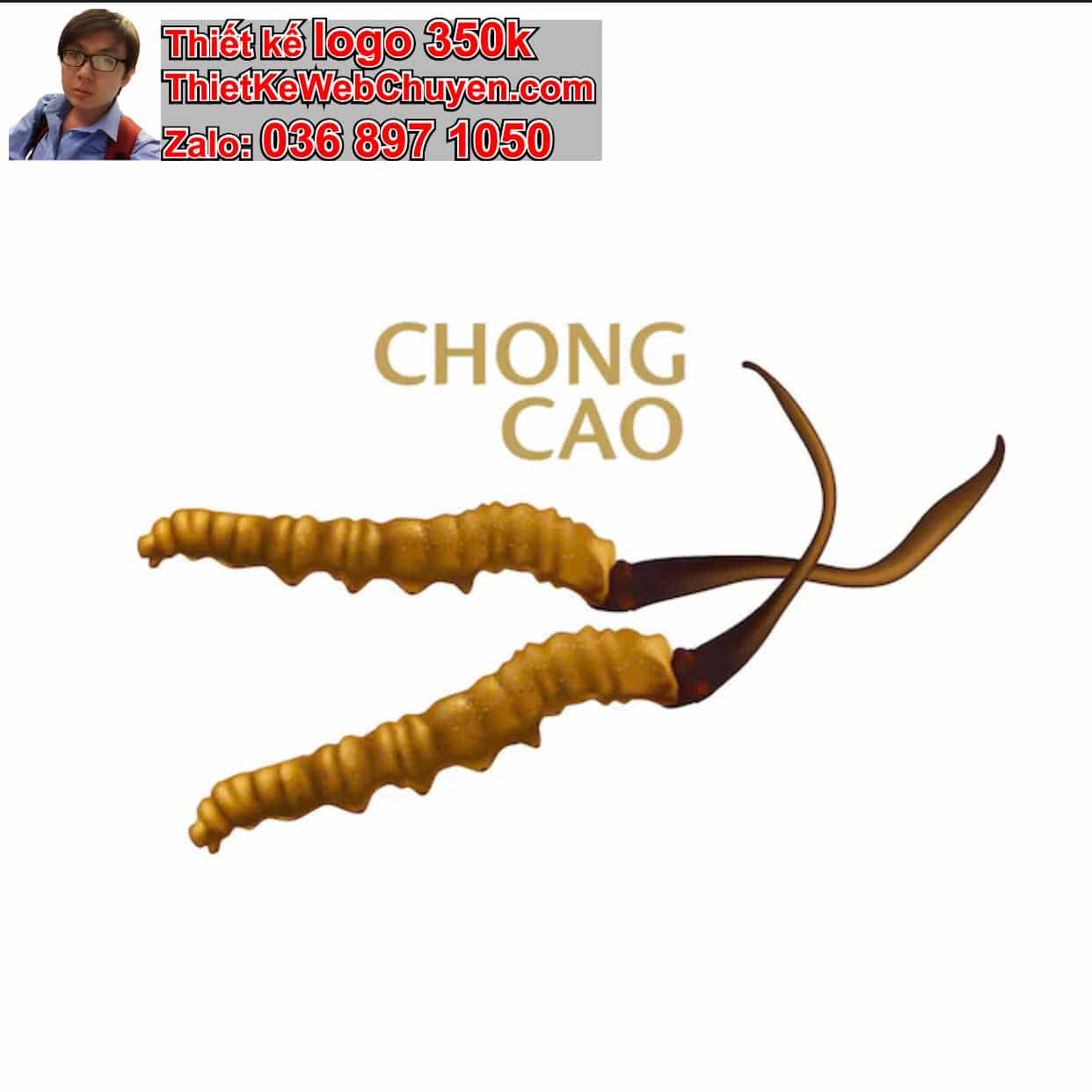 THIẾT KẾ LOGO ONLINE BÁN ĐÔNG TRÙNG HẠ THẢO