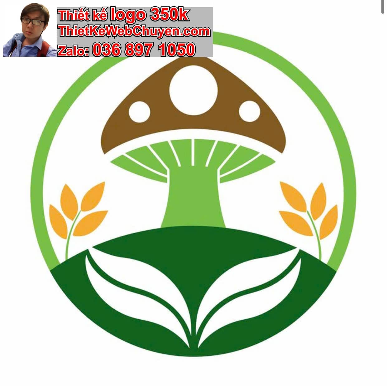 Thiết kế logo online bán nấm lim xanh