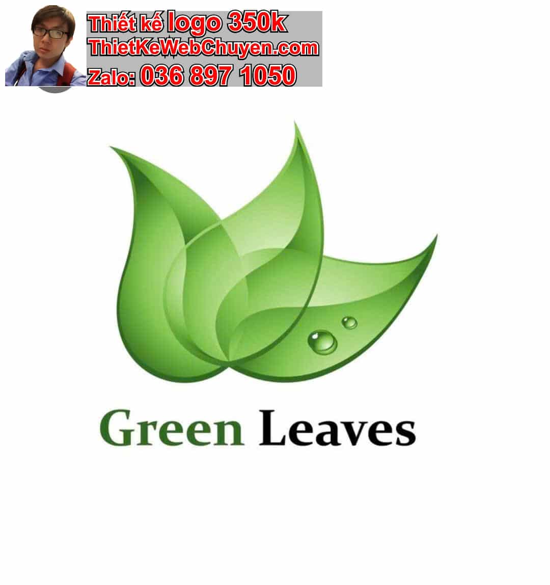 Thiết kế logo online chiếc lá 