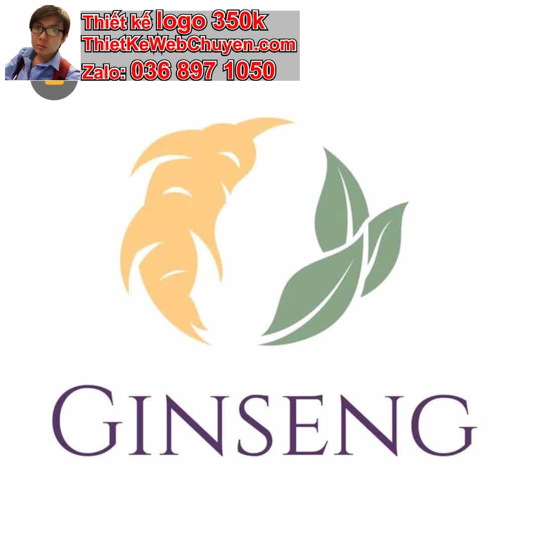 Thiết kế logo online nhân sâm