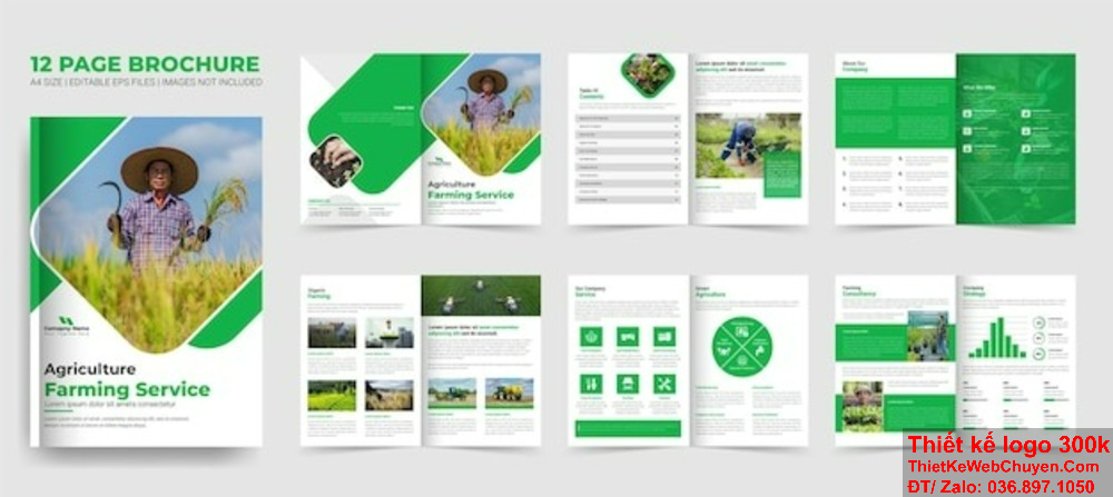 Thiết kế profile công ty môi trường cần đảm bảo tính thẩm mỹ và chức năng sử dụng. Một profile công ty môi trường đầy đủ sẽ giúp doanh nghiệp dễ dàng tiếp cận các cơ hội hợp tác mới.